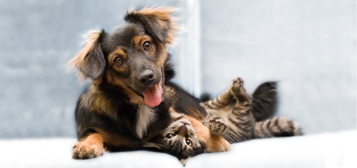 https://cdn1.pokupon.ua/uploaded/new_campaign_pictures/434806/data/main720x340/shutterstock_7172107.jpg?1510151577
