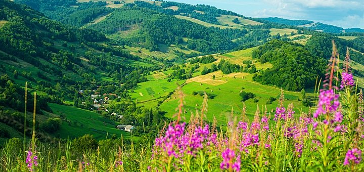 https://cdn1.pokupon.ua/uploaded/new_campaign_pictures/43558/data/main720x340/stoj-14.jpg?1432904656