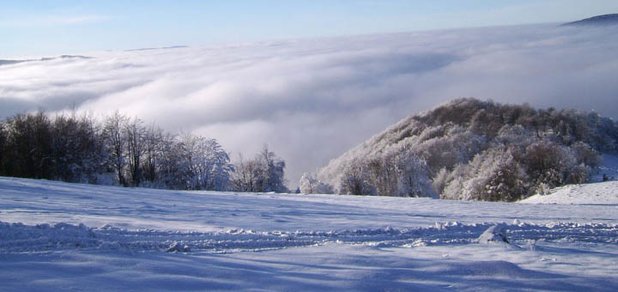 https://cdn1.pokupon.ua/uploaded/new_campaign_pictures/435727/data/main620x292/720x4.jpg?1510649499