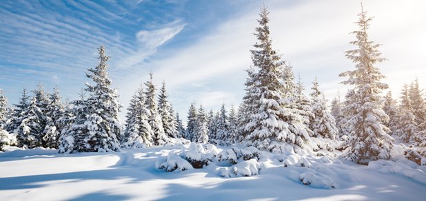https://cdn1.pokupon.ua/uploaded/new_campaign_pictures/435743/data/main620x292/shutterstock_519397579.jpg?1510656941