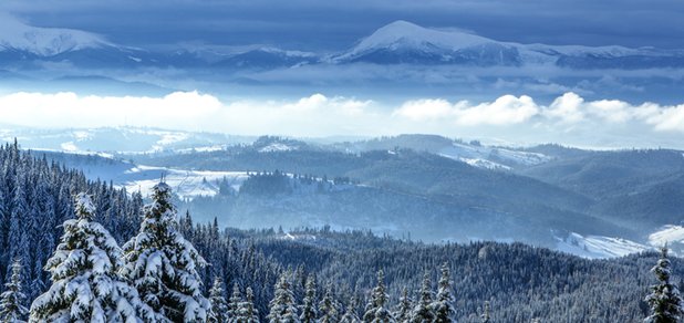 https://cdn1.pokupon.ua/uploaded/new_campaign_pictures/436107/data/main620x292/shutterstock_527307991.jpg?1510826470