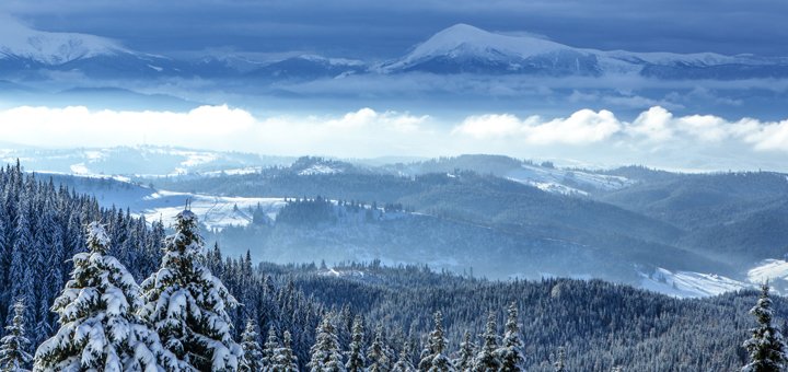https://cdn1.pokupon.ua/uploaded/new_campaign_pictures/436107/data/main720x340/shutterstock_527307991.jpg?1510826470