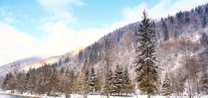 https://cdn1.pokupon.ua/uploaded/new_campaign_pictures/436232/data/main720x340/shutterstock_755074036.jpg?1510843761