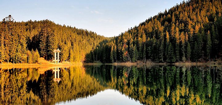 https://cdn1.pokupon.ua/uploaded/new_campaign_pictures/437426/data/main720x340/720x9.jpg?1511346031