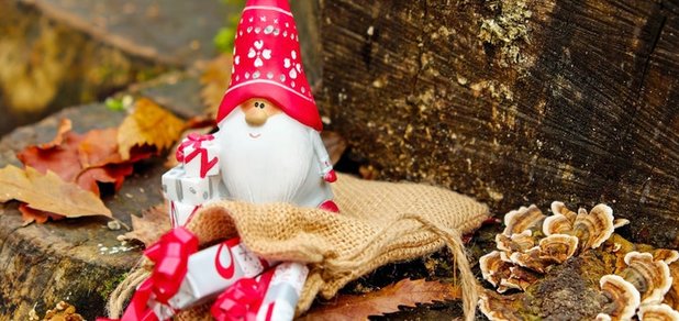 https://cdn1.pokupon.ua/uploaded/new_campaign_pictures/437744/data/main620x292/pexels-photo-247501.jpeg?1511446542