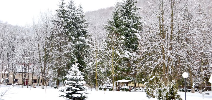 https://cdn1.pokupon.ua/uploaded/new_campaign_pictures/438511/data/main720x340/DSC_0630.JPG?1511869830