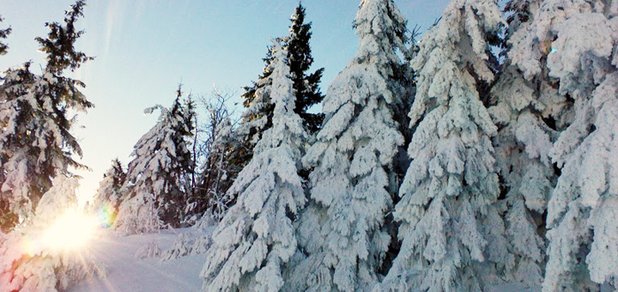 https://cdn1.pokupon.ua/uploaded/new_campaign_pictures/439125/data/main620x292/DSC00839.jpg?1512053435