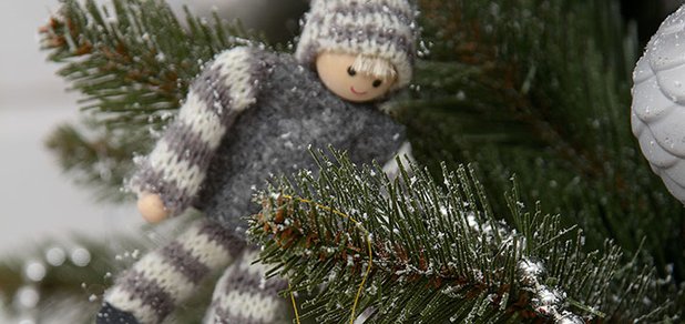 https://cdn1.pokupon.ua/uploaded/new_campaign_pictures/440058/data/main620x292/DSC_1866.jpg?1512554126