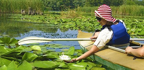 Прогулки на байдарках  в «Сакуре» -67%