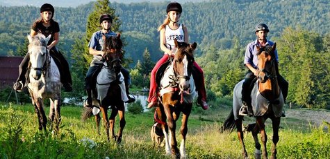 Прогулка на пони или лошади во дворе «Верхом»