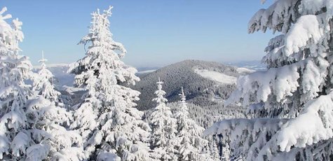 От 3 дней в отеле «Карпатські Роси» в Яремче