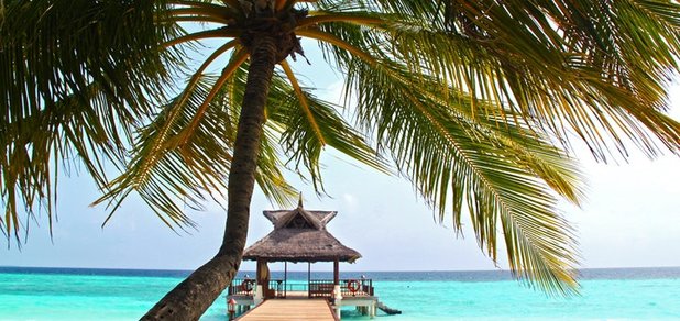 https://cdn1.pokupon.ua/uploaded/new_campaign_pictures/443074/data/main620x292/pexels-photo-279574.jpeg?1513861910