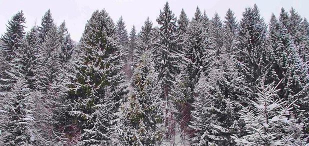 https://cdn1.pokupon.ua/uploaded/new_campaign_pictures/444084/data/main620x292/29.jpg?1514551103