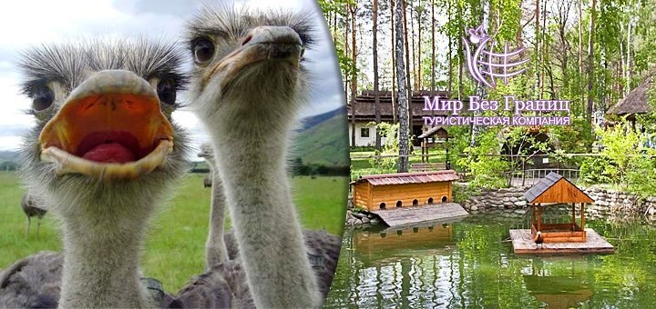https://cdn1.pokupon.ua/uploaded/new_campaign_pictures/44464/data/main720x340/seluk-8.jpg?1433233568