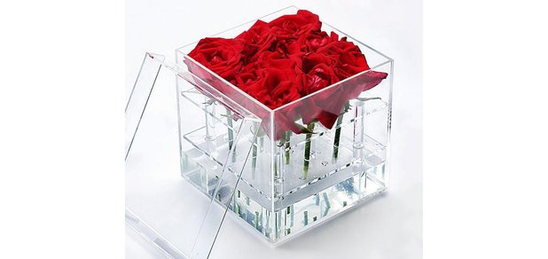 https://cdn1.pokupon.ua/uploaded/new_campaign_pictures/445698/data/main620x292/transparent-acrylic-flower-box-water-holderccc_%281%29.jpg?1516116883