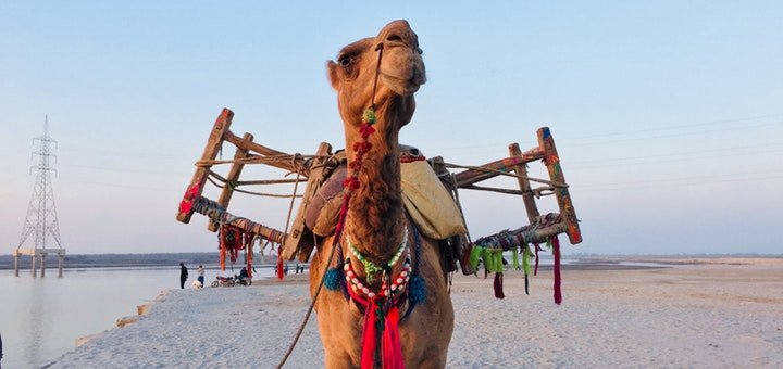 https://cdn1.pokupon.ua/uploaded/new_campaign_pictures/446003/data/main720x340/pexels-photo-754207.jpeg?1516281278