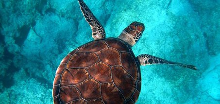 https://cdn1.pokupon.ua/uploaded/new_campaign_pictures/446006/data/main620x292/imgonline-com-ua-Resize-ILYwRILSTK2HxTL.jpg?1516281288