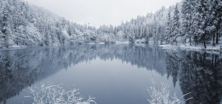 https://cdn1.pokupon.ua/uploaded/new_campaign_pictures/446434/data/main720x340/720x1.jpg?1516607690