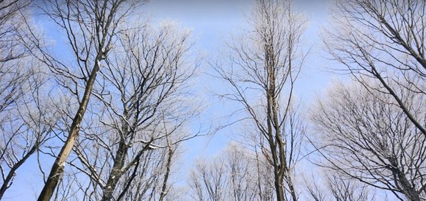 https://cdn1.pokupon.ua/uploaded/new_campaign_pictures/447378/data/main620x292/6x7ZzyNwTYyUKfCTNtfqxw.jpg?1516974612