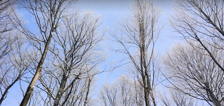 https://cdn1.pokupon.ua/uploaded/new_campaign_pictures/447378/data/main720x340/6x7ZzyNwTYyUKfCTNtfqxw.jpg?1516974612
