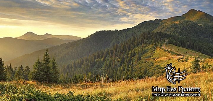 https://cdn1.pokupon.ua/uploaded/new_campaign_pictures/44769/data/main720x340/big4.jpg?1433754239