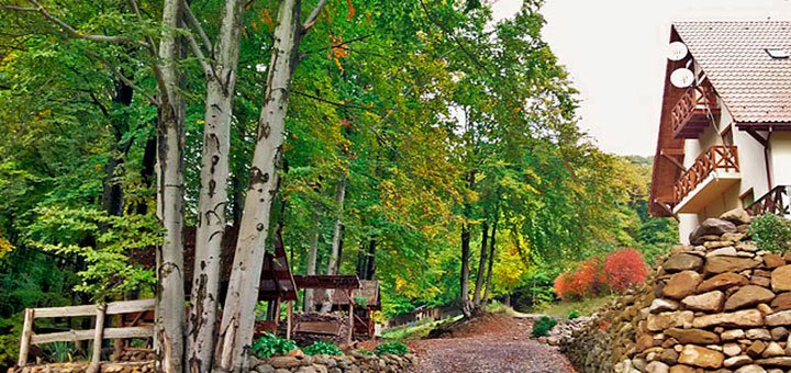 https://cdn1.pokupon.ua/uploaded/new_campaign_pictures/447902/data/main720x340/out9.jpg?1517319287