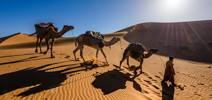 https://cdn1.pokupon.ua/uploaded/new_campaign_pictures/450654/data/main720x340/UAE-2-18.jpg?1518515143