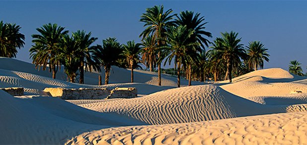 https://cdn1.pokupon.ua/uploaded/new_campaign_pictures/450979/data/main620x292/TUNISIA-1.jpg?1518605303