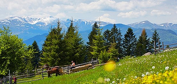 https://cdn1.pokupon.ua/uploaded/new_campaign_pictures/45229/data/main620x292/buk-5.jpg?1434016944