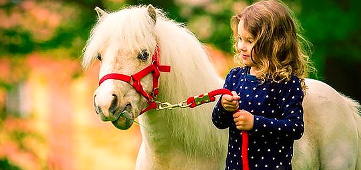 https://cdn1.pokupon.ua/uploaded/new_campaign_pictures/454868/data/main720x340/1.jpg?1518918581