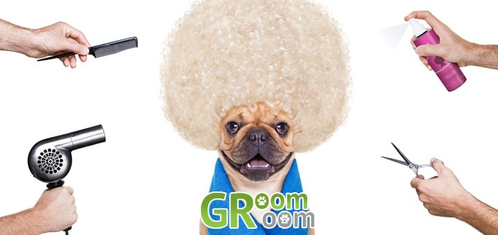 https://cdn1.pokupon.ua/uploaded/new_campaign_pictures/45722/data/main720x340/678790.jpg?1434548089
