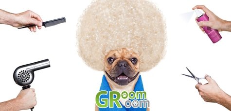 Уход за собаками в салоне GroomRoom -65%