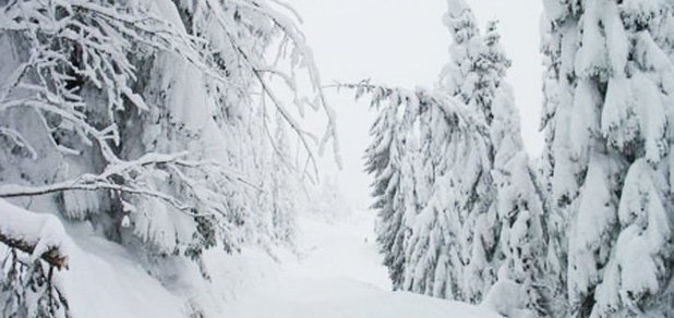 https://cdn1.pokupon.ua/uploaded/new_campaign_pictures/457982/data/main620x292/big16187.jpg?1518931742