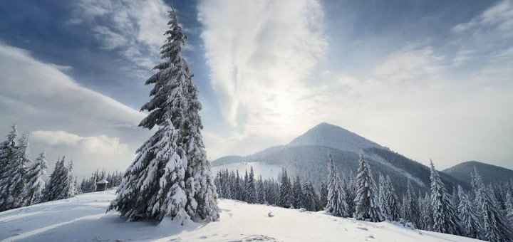 https://cdn1.pokupon.ua/uploaded/new_campaign_pictures/459524/data/main720x340/1455035255_zima9.jpg?1518939484