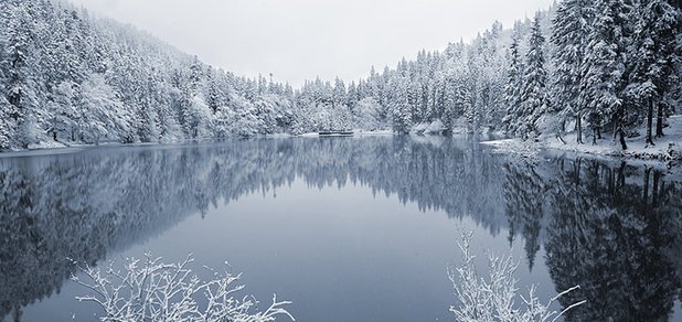 https://cdn1.pokupon.ua/uploaded/new_campaign_pictures/459636/data/main620x292/22.jpg?1518940016