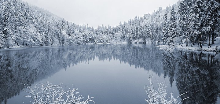 https://cdn1.pokupon.ua/uploaded/new_campaign_pictures/459636/data/main720x340/22.jpg?1518940016