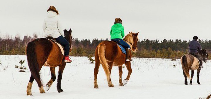 https://cdn1.pokupon.ua/uploaded/new_campaign_pictures/460162/data/main720x340/6-1.jpg?1518942752