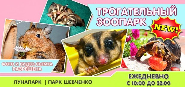 https://cdn1.pokupon.ua/uploaded/new_campaign_pictures/46048/data/main620x292/zoo-10.jpg?1435040973