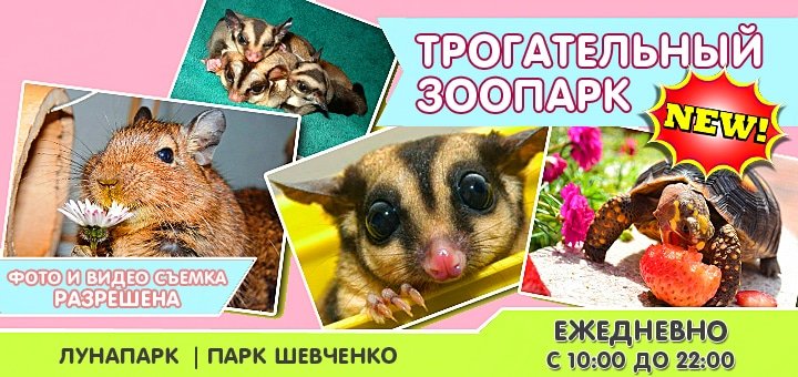 https://cdn1.pokupon.ua/uploaded/new_campaign_pictures/46048/data/main720x340/zoo-10.jpg?1435040973