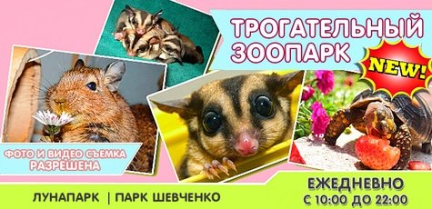 Билеты в Трогательный зоопарк -50%