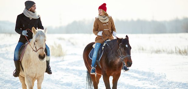 https://cdn1.pokupon.ua/uploaded/new_campaign_pictures/460513/data/main620x292/pferdeschlittenfahrt-reiten-winter-hotel-zell-am-see-2-1170x780.jpg?1518944997
