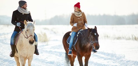 Прогулки на лошадях в конном клубе «Кениг»