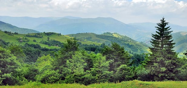 https://cdn1.pokupon.ua/uploaded/new_campaign_pictures/460732/data/main620x292/image_15.jpg?1521543611