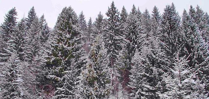 https://cdn1.pokupon.ua/uploaded/new_campaign_pictures/461393/data/main720x340/29.jpg?1518949632