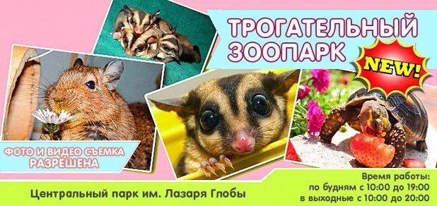 https://cdn1.pokupon.ua/uploaded/new_campaign_pictures/46226/data/main620x292/zoo-dnepr.jpg?1435235893