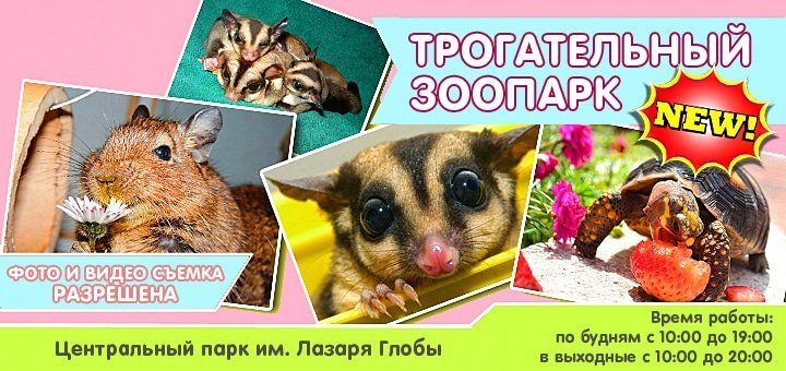 https://cdn1.pokupon.ua/uploaded/new_campaign_pictures/46226/data/main720x340/zoo-dnepr.jpg?1435235893