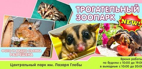 Билеты в Трогательный зоопарк -50%