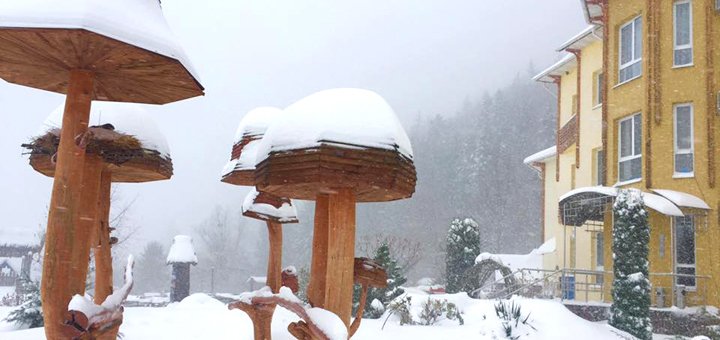 https://cdn1.pokupon.ua/uploaded/new_campaign_pictures/462389/data/main720x340/4.jpg?1518955196