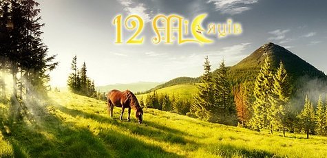 Отдых в отеле «12 месяцев» на Драгобрате -33%