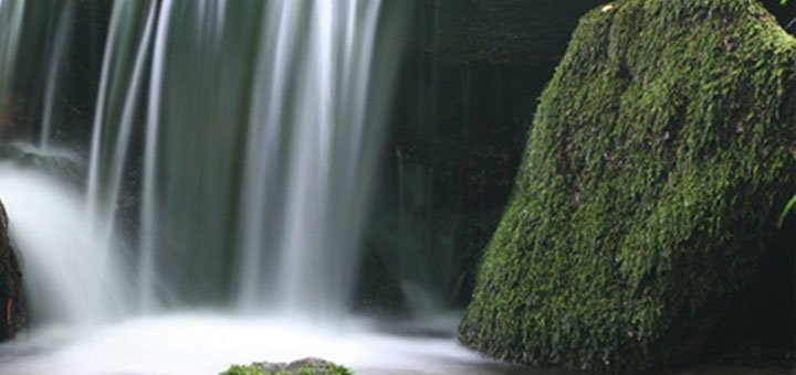 https://cdn1.pokupon.ua/uploaded/new_campaign_pictures/466842/data/main720x340/1.jpg?1519031843